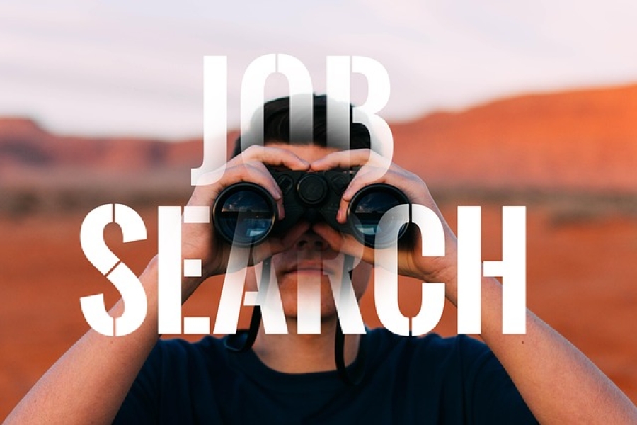Best Job Search Strategies: How to ...