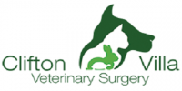 Experienced student veterinary nurse