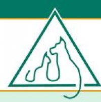 Patient care assistant