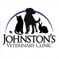 Registered veterinary nurse