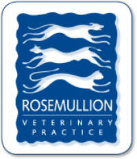 Registered veterinary nurse