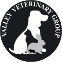 Registered veterinary nurse
