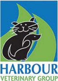 Registered veterinary nurse