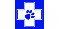 Senior veterinary surgeon