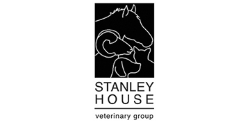 Small animal vets - flexible work patterns - full or part time