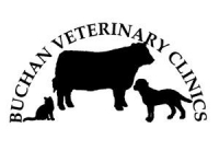 Registered veterinary nurse