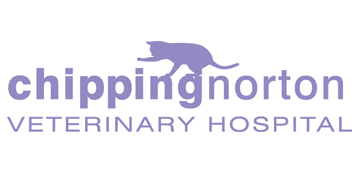 Small animal veterinary surgeon