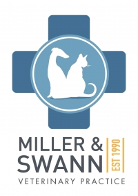 Weekend veterinary surgeon