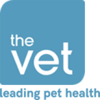 Senior veterinary surgeon