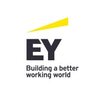 Senior consultants / managers, financial services risk management