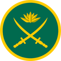 Junior commissioned officer army 