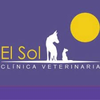 Medico veterinario especialista