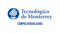 Arketing professor - guadalajara mex.