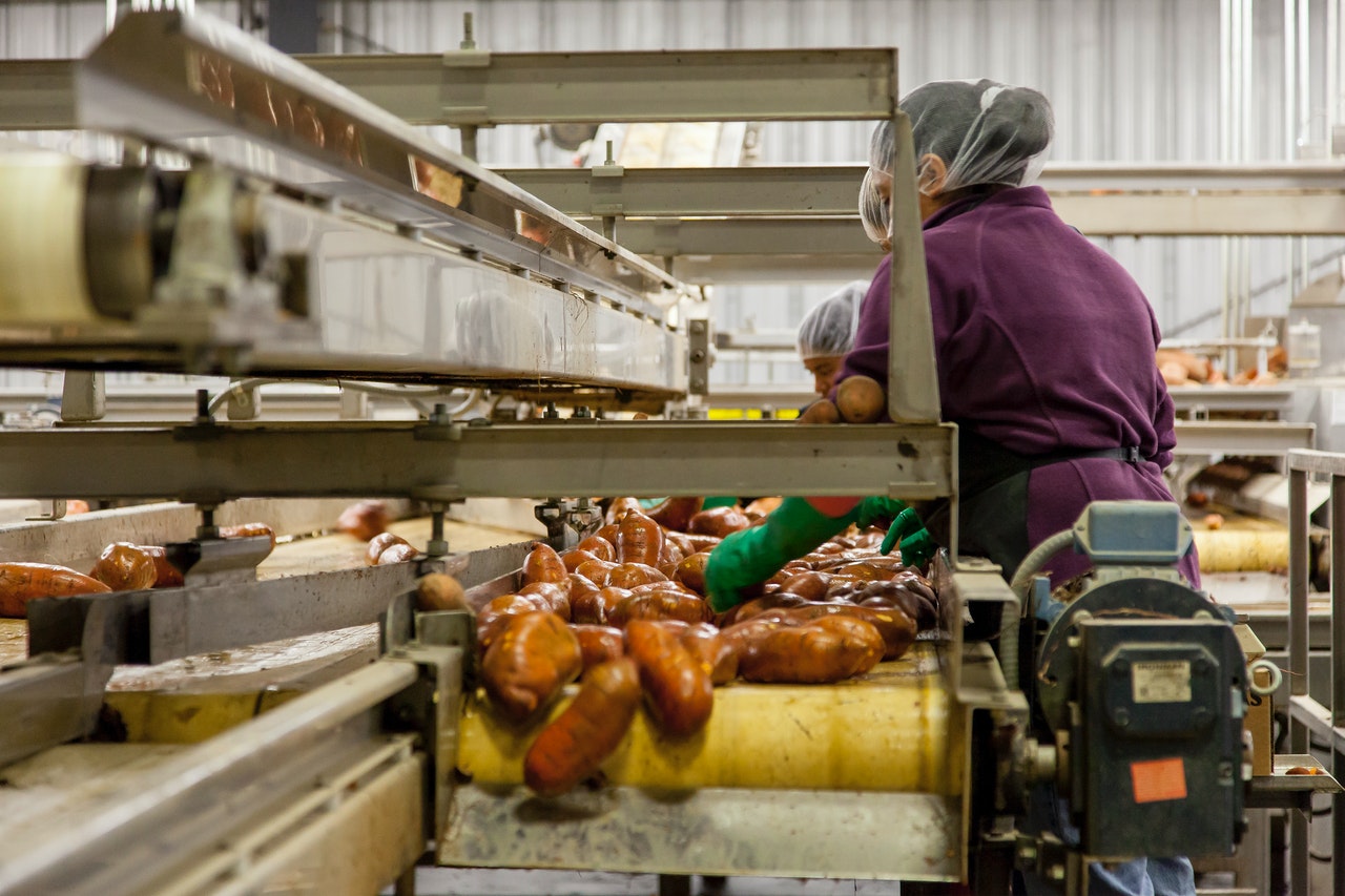 Ingredients preparation worker