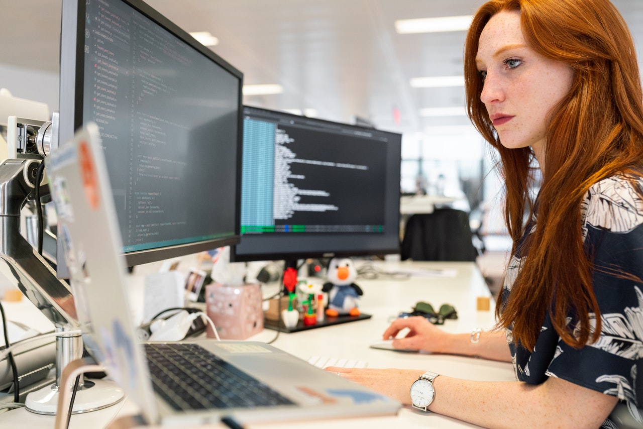 Senior full stack developer - wellington