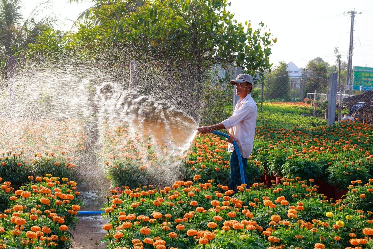 Gardener
