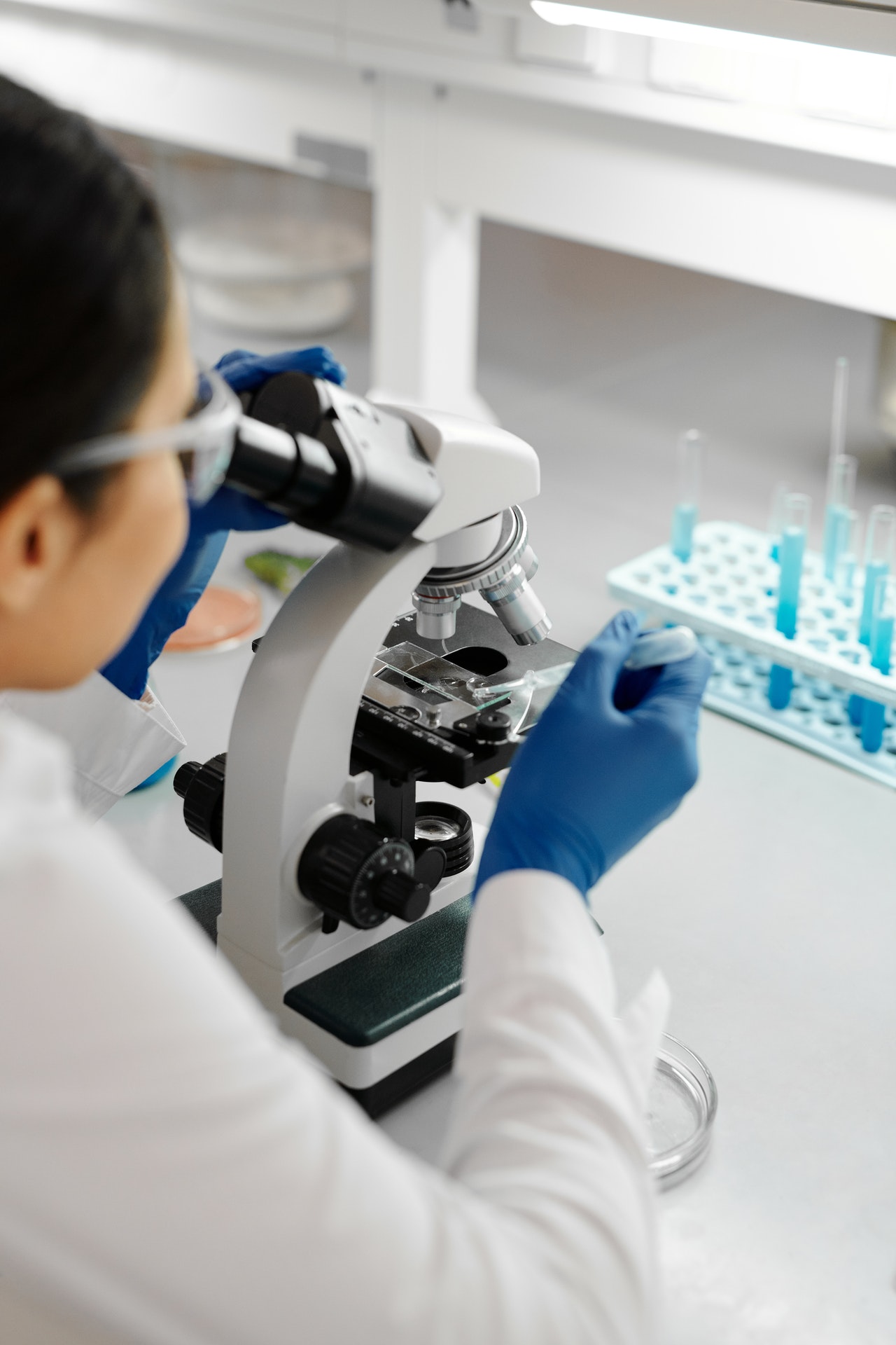 Pharmacist | auckland